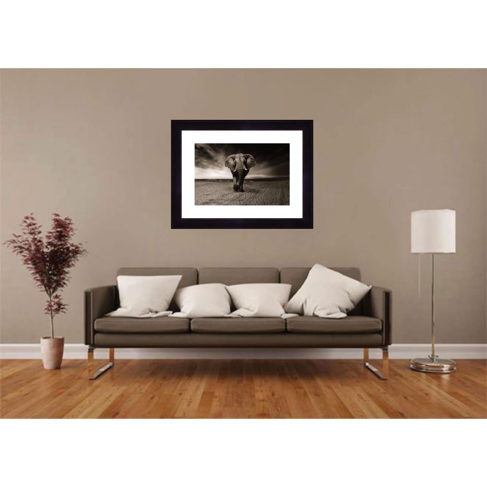 Quadro Elefante com moldura grossa de madeira 4 cm preta, vidro incolor. Medidas de 65x50